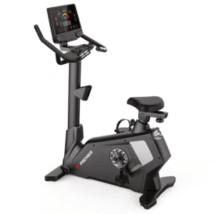 UPRIGHT BIKE BIKE