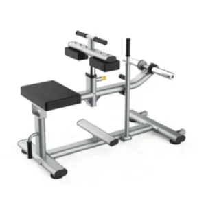 SEATED CALF RAISE