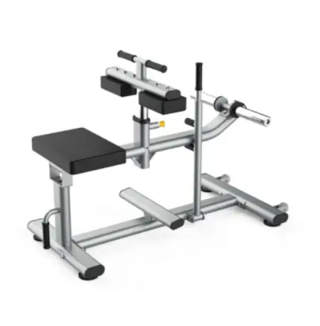 SEATED CALF RAISE