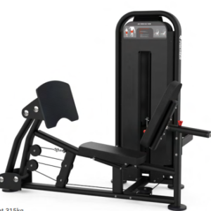 LEG PRESS/CALF