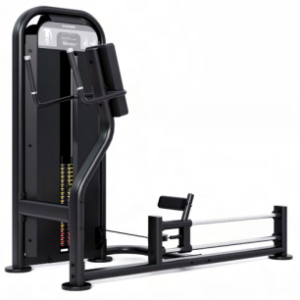 STANDING GLUTE KICKBACK