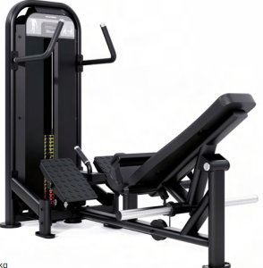 SELECTORISED HIP THRUST