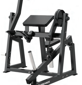 SEATED BICEPS