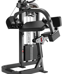 TRICEPS EXTENSION