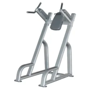 VERTICAL KNEE RAISE